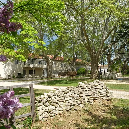 Mas 9 Romanin - Mas Provencal Familial * Saint-Rémy-de-Provence
