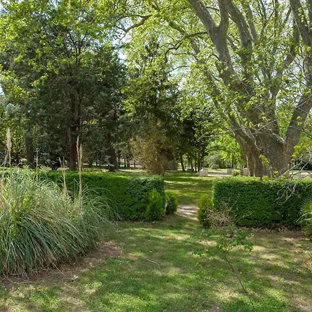 Appartamento Mas 9 Romanin - Mas Provencal Familial