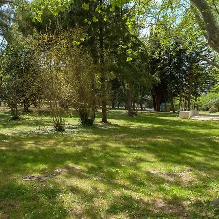 Appartamento Mas 9 Romanin - Mas Provencal Familial *