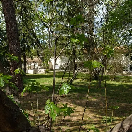 Mas 9 Romanin - Mas Provencal Familial