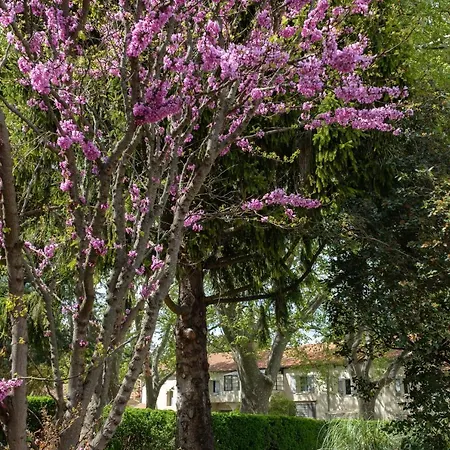Mas 9 Romanin - Mas Provencal Familial Appartamento