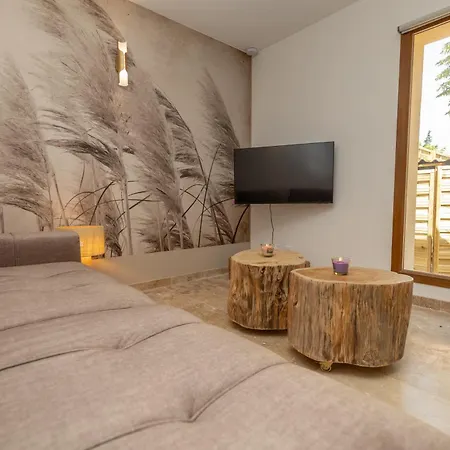 Appartamento Mas 9 Romanin - Mas Provencal Familial Saint-Rémy-de-Provence